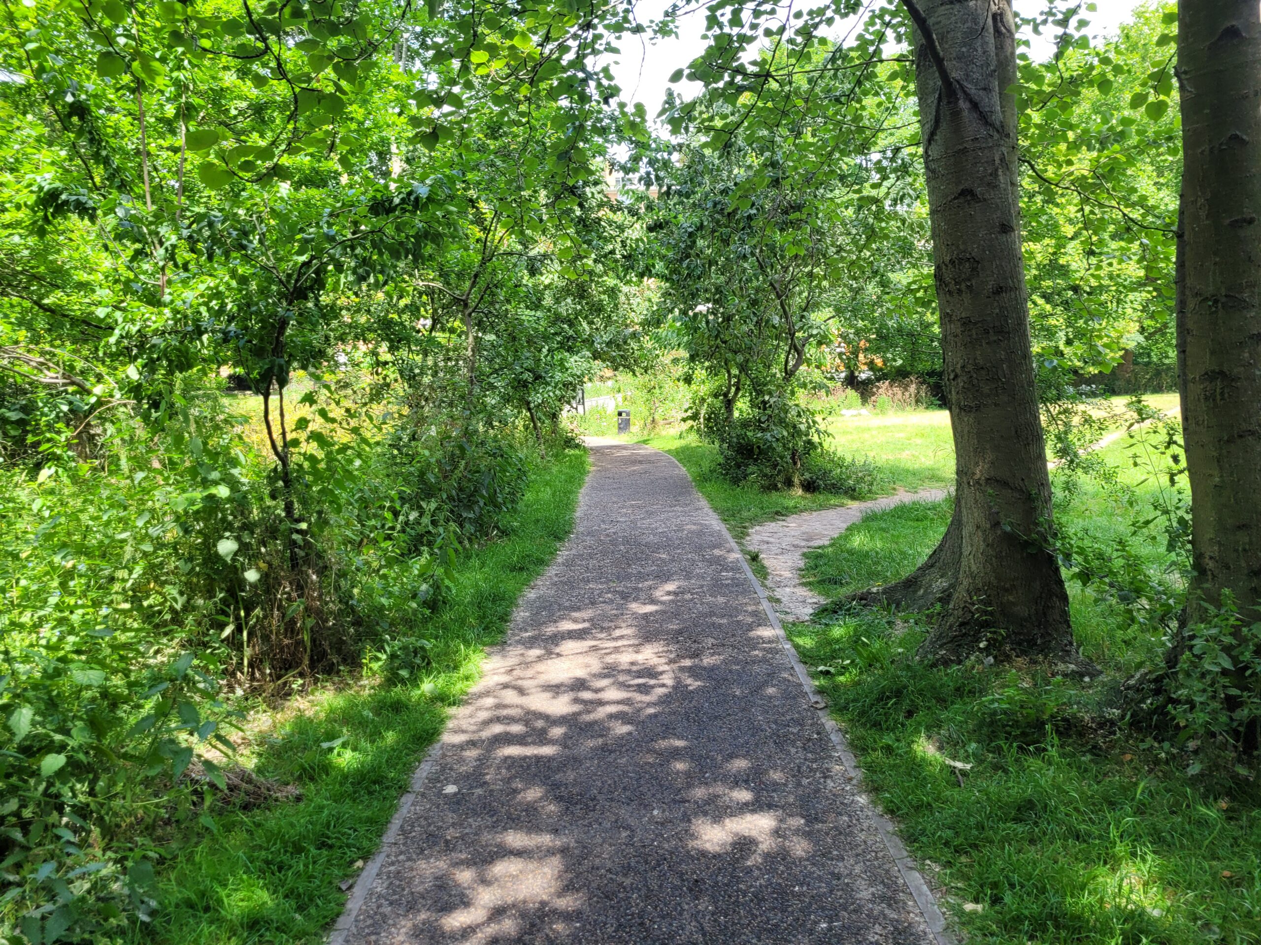 A path in a park
