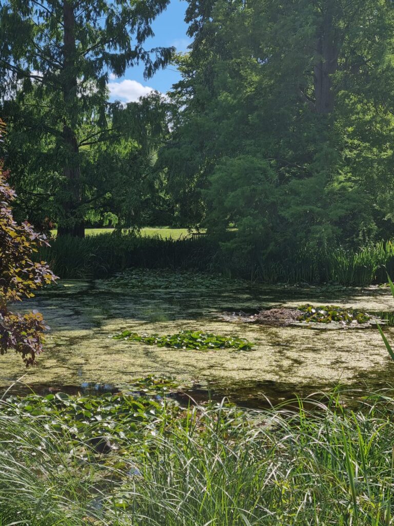 Pond in Kew Gardens, Surrey