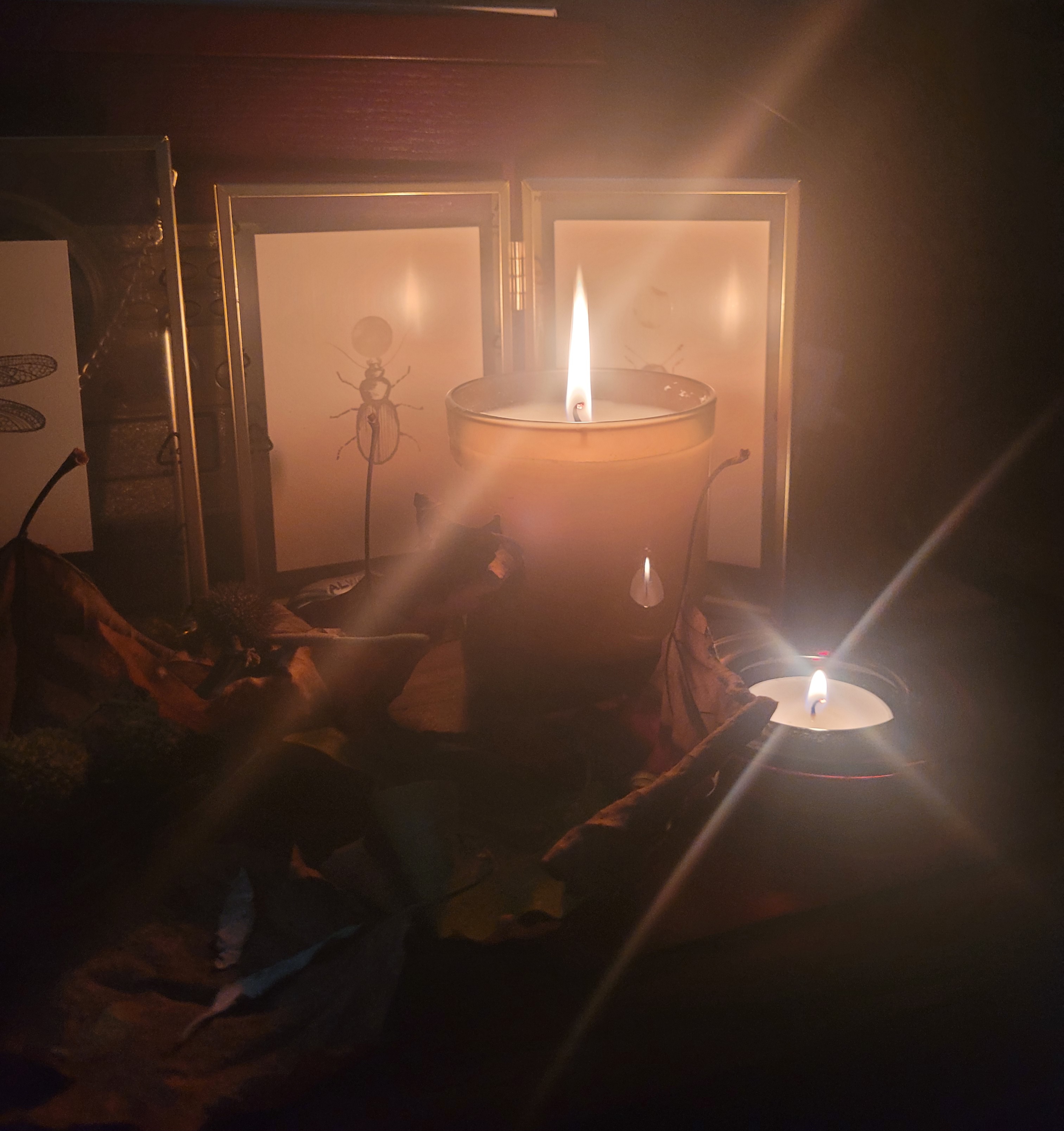 Samhain rituals