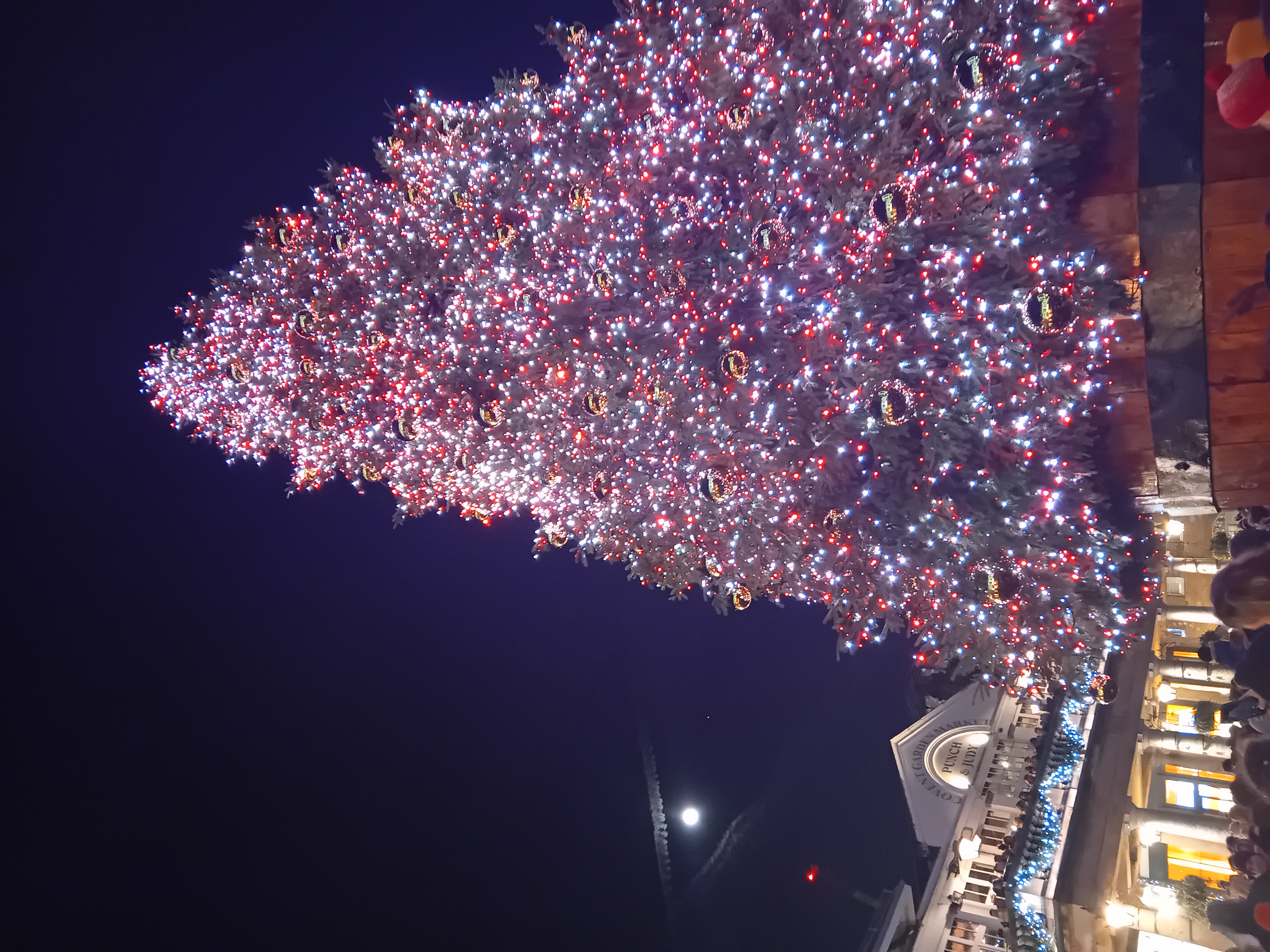 Christmas tree in Covent Garden