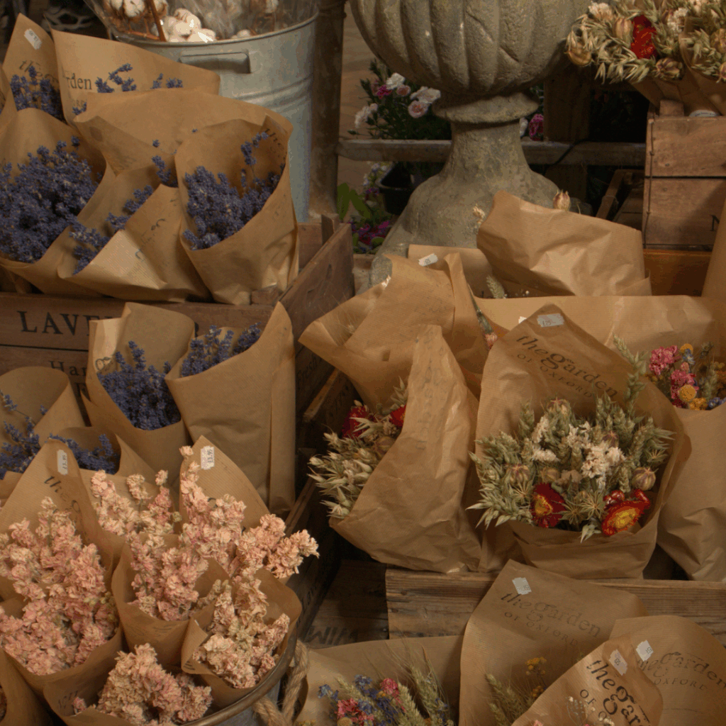 The Garden of Oxford