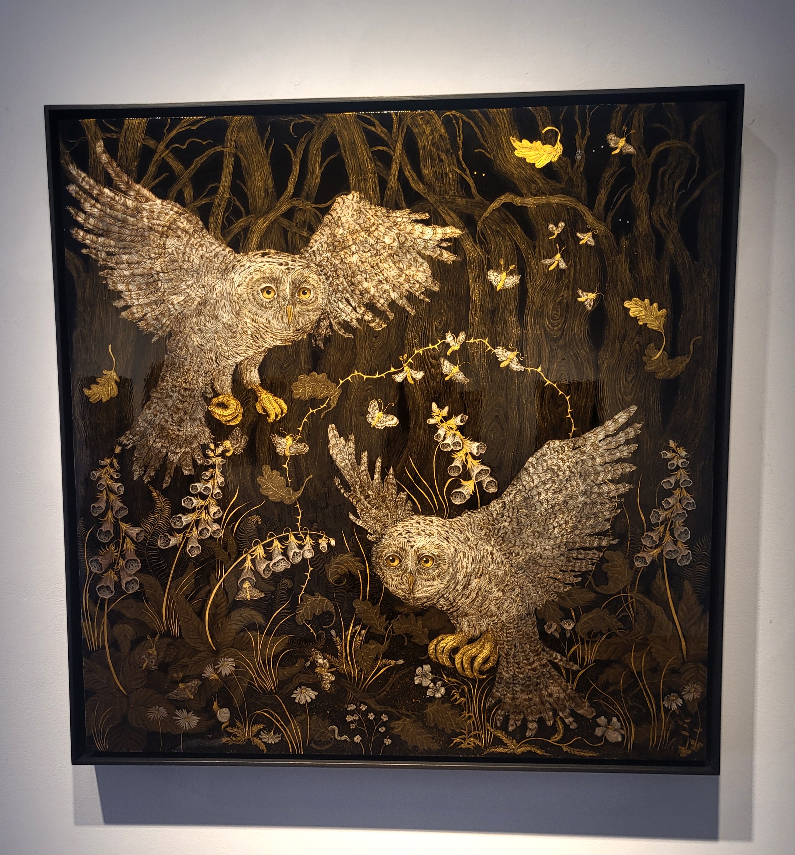 The Owls - Tuesday Riddell