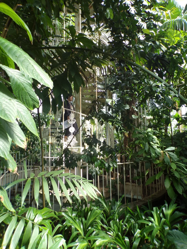 Iron staircase inside Palm House
